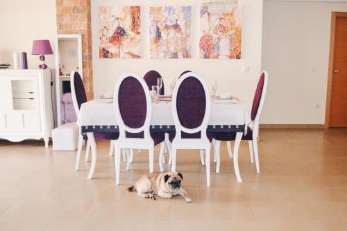 a dog laying on the floor next to a table and chairs at Jardines de Las Marinas - Royal Suite in Denia