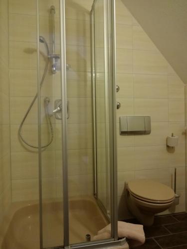 a bathroom with a shower and a toilet at Hotel Hochdorfer Hirschen in Freiburg im Breisgau