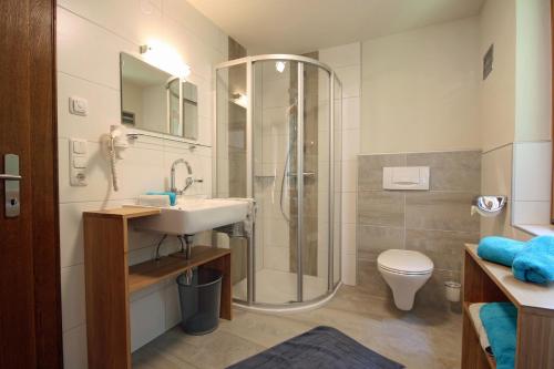 bagno con doccia, lavandino e servizi igienici di Almliesl NEUK-467 a Neukirchen am Grossvenediger