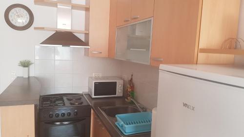 Apartments Damićにあるキッチンまたは簡易キッチン