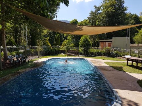 Jamieson的住宿－Jamieson Caravan Park，后院带吊床的游泳池
