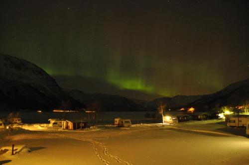 an image of the aurora dancing in the sky at Gullesfjord Camping in Gullesfjord
