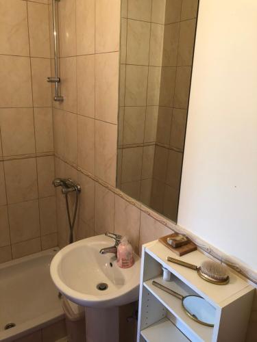 a bathroom with a sink and a mirror and a tub at Country House Zunko in Jelovec