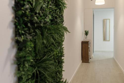 a corridor with a green wall in a room at Big Room Happy Alicante in Alicante