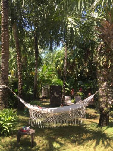 a hammock in a garden with palm trees at Hotel Lunata - 5th Avenue in Playa del Carmen