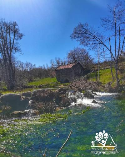 a river with green grass and a building in the background at Casa Celeste in Castro Daire