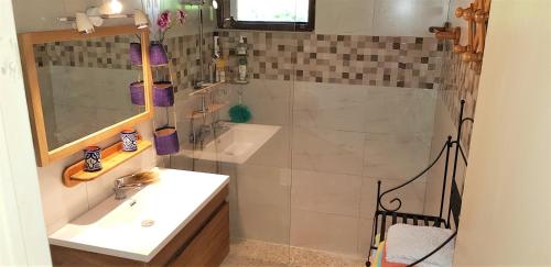 a bathroom with a sink and a shower at Ubuntu Lodge in Les Trois-Îlets