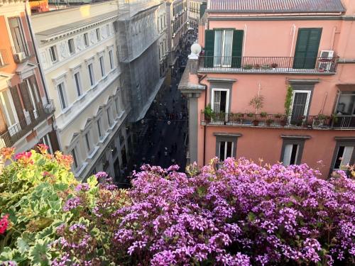 a view of a city with flowers and buildings at Dimora Augusteo in Naples