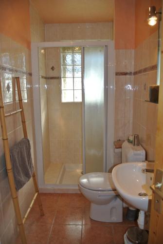 une salle de bain avec une douche, des toilettes et un lavabo dans l'établissement Le Refuge, à Saint-Gervais-les-Bains
