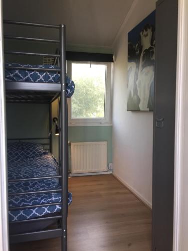 Hensbroekにあるchalet hensbroekの二段ベッド2台と窓が備わる客室です。