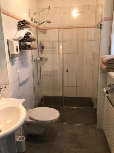 a bathroom with a shower and a toilet and a sink at Hotel Eintracht in Oberbipp