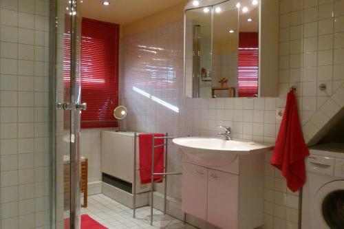 a bathroom with a sink and a refrigerator at Fabys Ferienwohnung in Twielenfleth