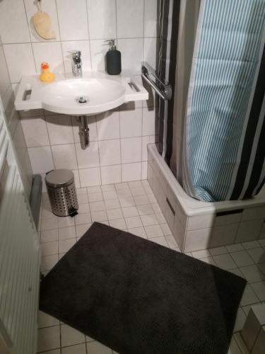 a small bathroom with a sink and a shower at Ferien-Appartement Goldhausen in Goldhausen