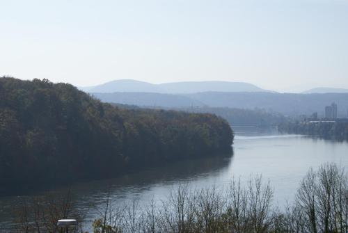 a river with trees and a bridge in the distance at Hotel Storchen in Rheinfelden