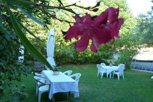 un tavolo con sedie e un ombrellone e un fiore di Residence Tenuta Gambalonga a Cinto Euganeo