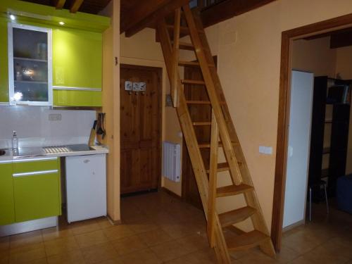 プラ・デ・ラ・エルミータにあるApartament Vall de Boi Taullのキッチン(緑のキャビネット、木製のはしご付)