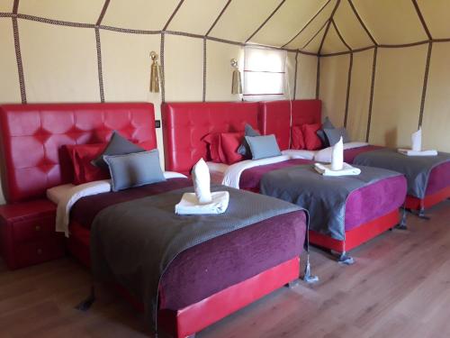 a group of four beds in a tent at Bivouac Le Ciel Bleu in Erfoud