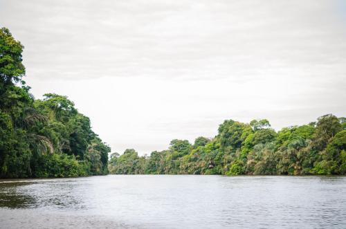 a river in the amazon jungle on a boat at Hotel Tortuguero Beachfront in Tortuguero