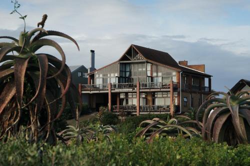 a large house with a palm tree in front of it at Shaloha Guesthouse on Supertubes in Jeffreys Bay
