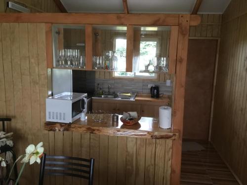 a kitchen with a counter with a microwave at Cabañas 4 Volcanes Frutillar in Frutillar