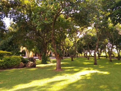 Un jardín fuera de Casa de las Luciérnagas