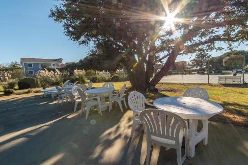 a group of tables and chairs under a tree at Sounds Great! in Duck