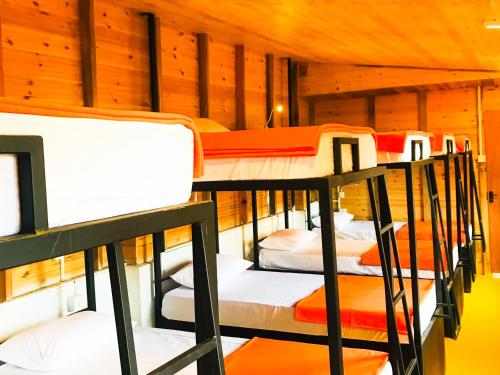 Fotografie z fotogalerie ubytování Ella City Reach Hostel v destinaci Ella