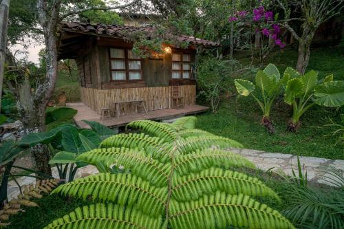 a small cabin in a garden with a large green plant at Cabañas Los Achicuales in Cuetzalán del Progreso