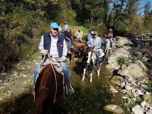 Životinje u smeštaju na selu ili u blizini