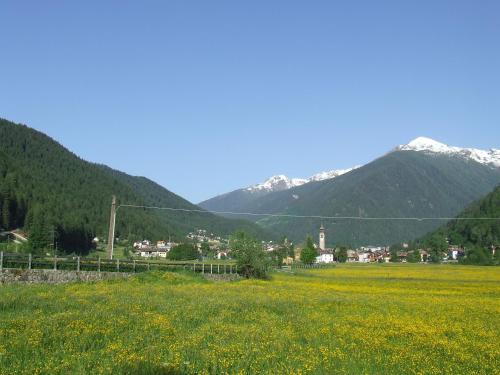 a field of yellow flowers with mountains in the background at Residence Ca' Delle Margherite in Pellizzano
