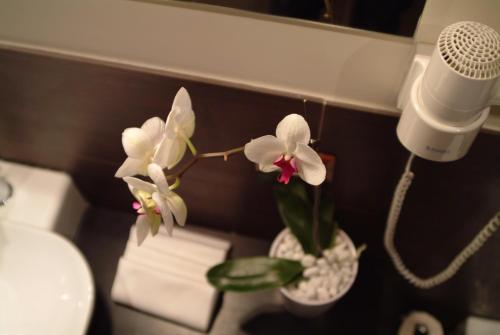 two flowers in a vase on a counter with a microphone at Andrea Doria Hotel in Marina di Ragusa