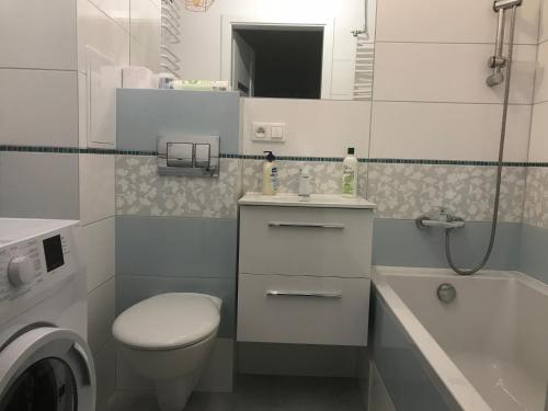 ビャウィストクにあるGolden Apartament Proletariackaのバスルーム(トイレ、洗面台、シャワー付)