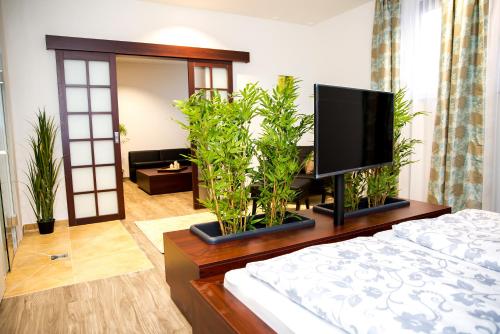 a living room with a tv on a table with plants at Plus Punkt Private Spa in Weingarten