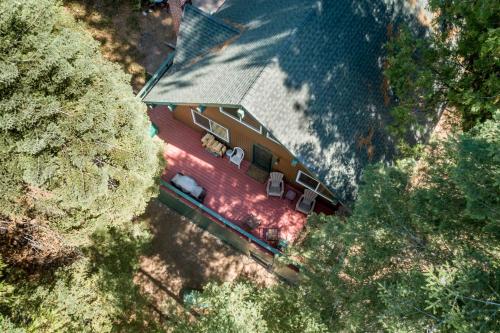 Palm 2 Pines – Photos 3