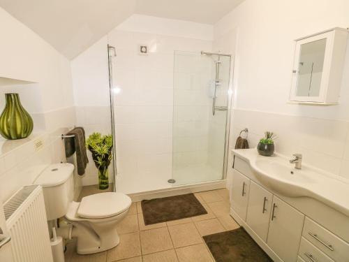 a bathroom with a toilet and a shower and a sink at Farley Cottage I in Oakamoor