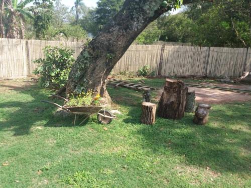 a tree in a yard with a flower pot and logs at Pousada Dedo de Deus in Paraisópolis