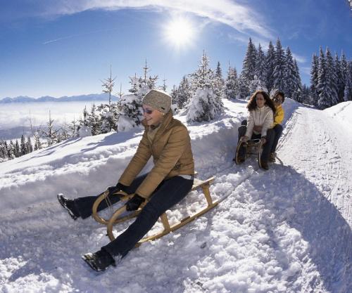 a group of people sitting on a sled in the snow at Hotel Gailberghöhe in Kötschach