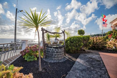 a garden with a palm tree next to the ocean at Miradouro da Papalva Guest House - Pico - Azores in São João