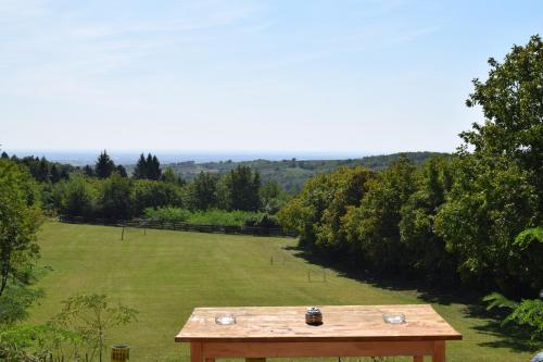 a picnic table in the middle of a field at Guest House Mundzic- Sumski Mir in Irig