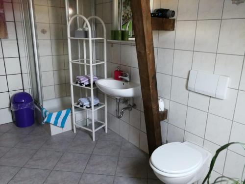 ein Bad mit einem WC und einem Waschbecken in der Unterkunft Pension Harmonie in Erfurt