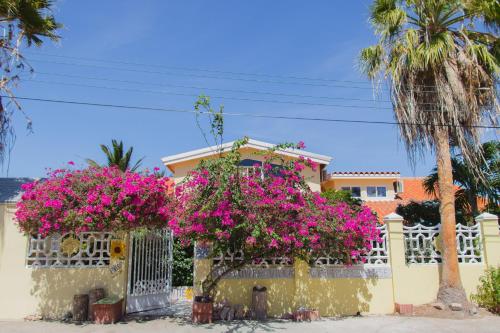 Un jardín fuera de Sunflower Villa Studios