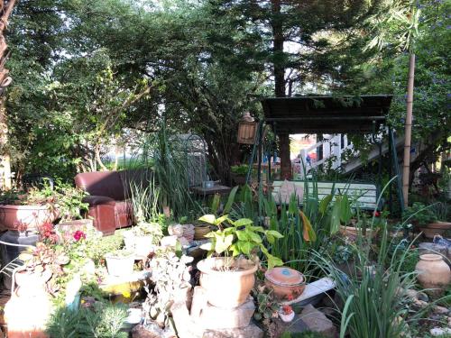 a garden with lots of potted plants and trees at Hilltop Haven in Poriyya Illit