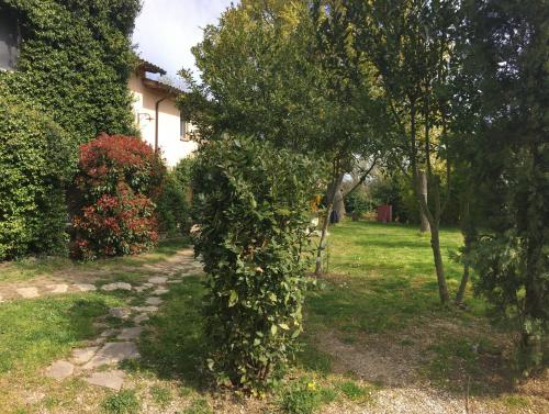 a ivy covered tree in front of a house at La Fratta Art - House in Marsciano