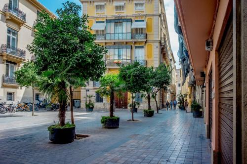 TTdSSa VLC Plaza Cisneros