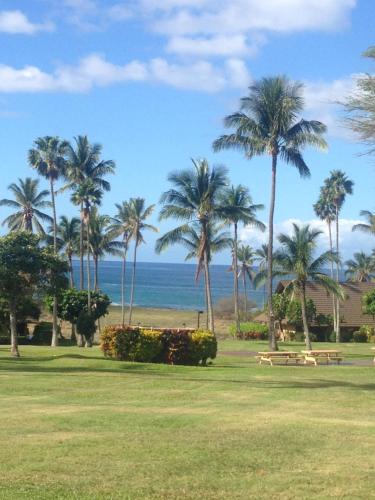 Molokai Ocean View Condo – Photos 3