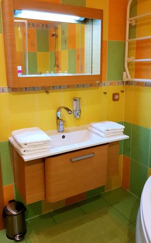 a bathroom with a sink and a mirror at Gustav House in Daugavpils