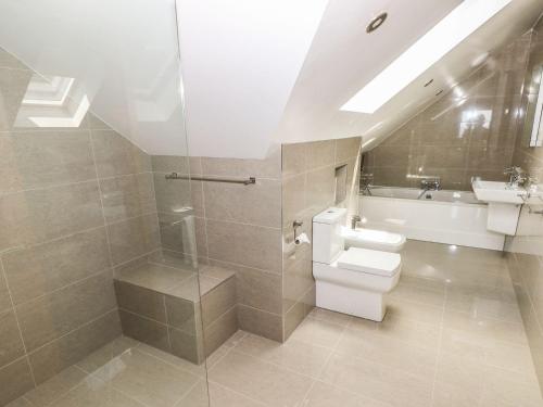 a bathroom with a toilet and a shower and a sink at Harmon Vale in Solva