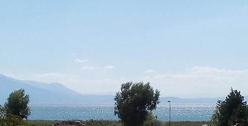 a view of a body of water with trees at Marko Apartments in Struga