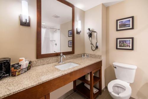 Bilik mandi di Comfort Suites Denver near Anschutz Medical Campus