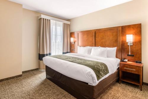 Katil atau katil-katil dalam bilik di Comfort Suites Denver near Anschutz Medical Campus